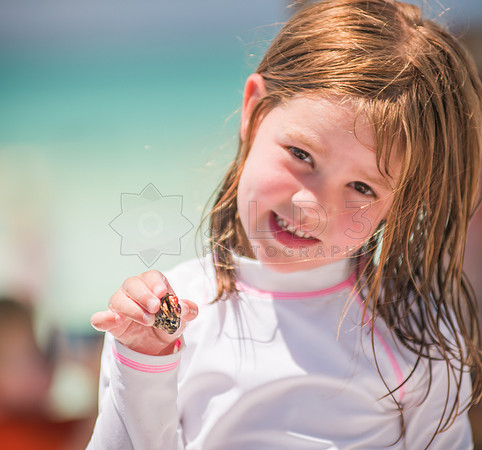 crabhunter