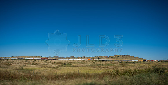 DSC_9166
